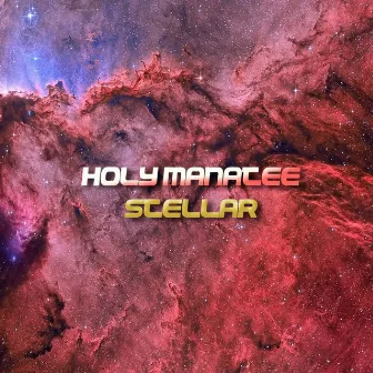 Stellar by Holy Manatee