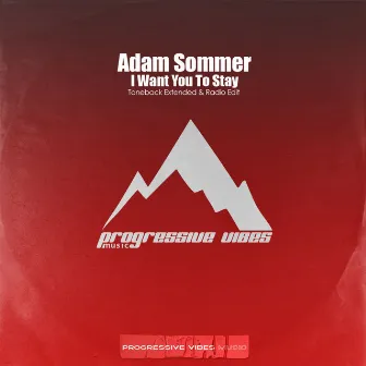 I Want You To Stay by Adam Sommer