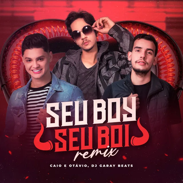 Seu Boy, Seu Boi - Remix