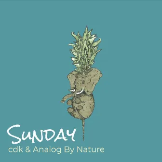 Sunday by Analog By Nature