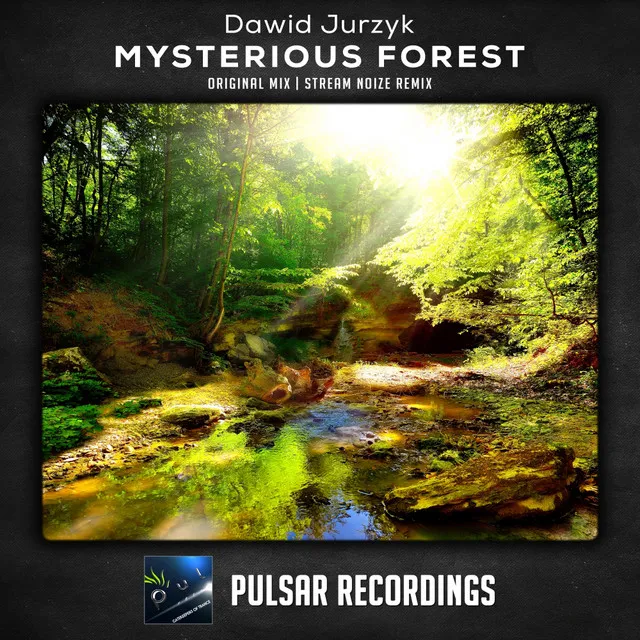 Mysterious Forest - Stream Noize Remix