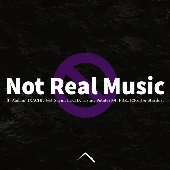 Not Real Music by Summitt