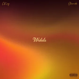 Wahala (feat. Olamide) by Olamide