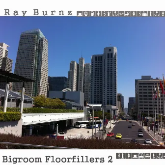 Bigroom Floorfillers 2 by Ray Burnz