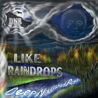 Like Raindrops by DNR