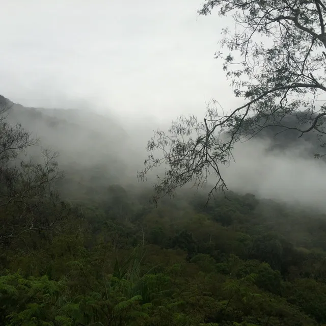 Se Todos Fossem Iguais a Você