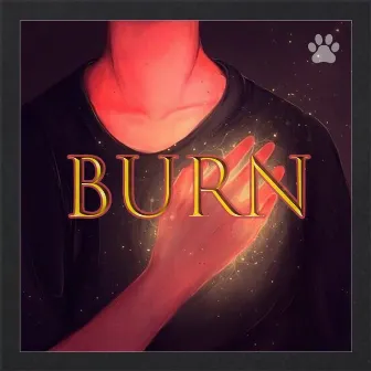 Burn by Kaplan