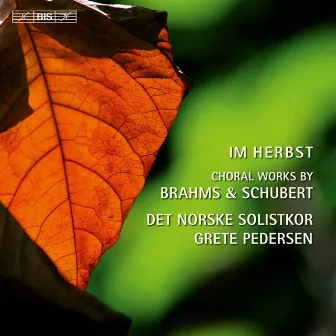 Im Herbst - Choral Works by Brahms & Schubert by The Norwegian Soloists' Choir