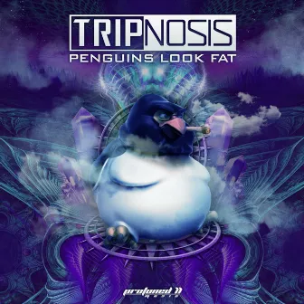 Penguins Look Fat by Tripnosis