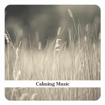 Calming Music, Relaxation Music by Violin and Piano Relax