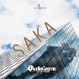 Saka by AudioGasmic SoundZ