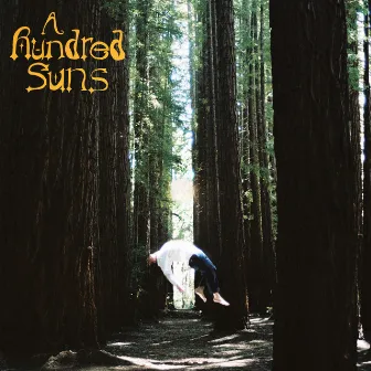 A Hundred Suns by Hindley