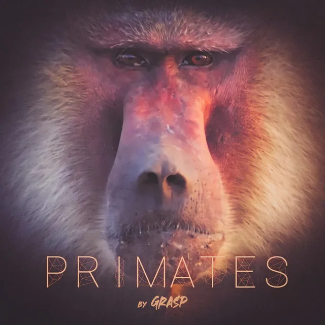 Primates