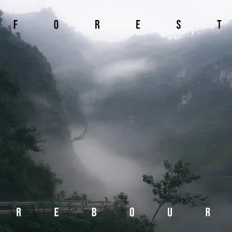 Forest by Rebour