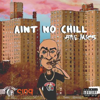 Aint No Chill (LP Explicit) by 5ive Mics