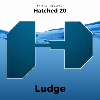 Hatched 20 by Ludge