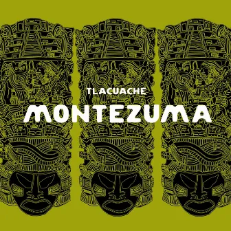 Montezuma by Tlacuache