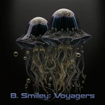 Voyagers by B. Smiley