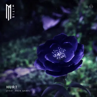 Hurt (feat. Zack Gray) by Zack Gray