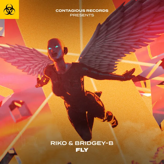 Fly - Radio Edit