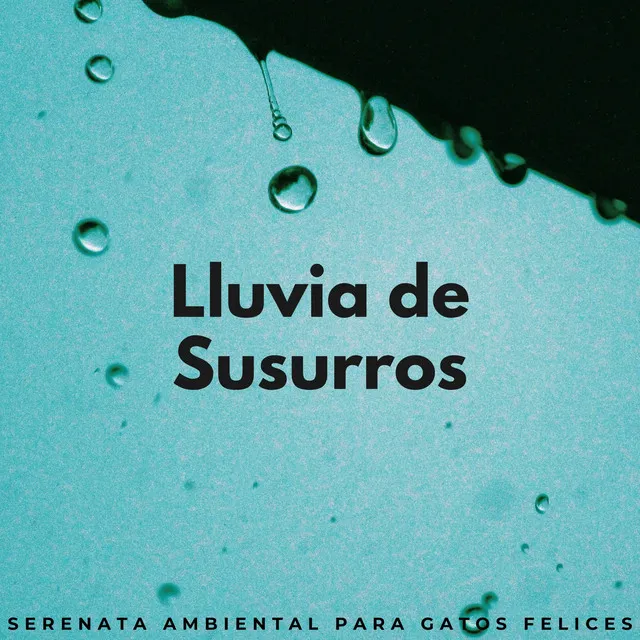 Lluvia De Susurros: Serenata Ambiental Para Gatos Felices