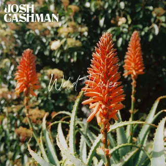 WildFlower by Josh Cashman