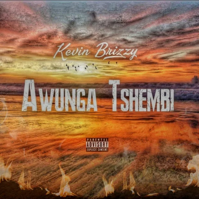 Awunga Tshembi - Radio Edit