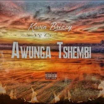 Awunga Tshembi (Radio Edit) by Kevin Brizzy