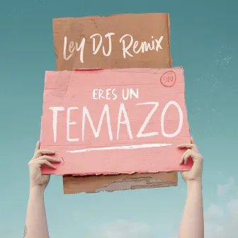 Eres un Temazo (Ley DJ Remix) by Ley DJ