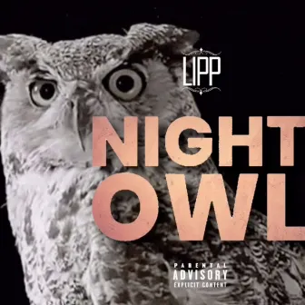 Night Owl by Lipp