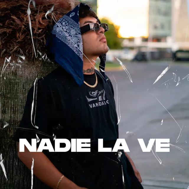 Nadie La Ve