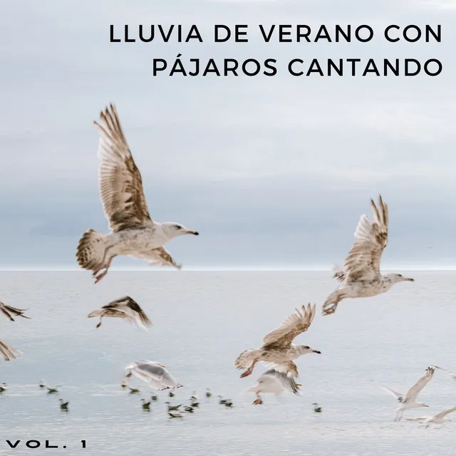 Lluvia De Verano Con Pájaros Cantando Vol. 1