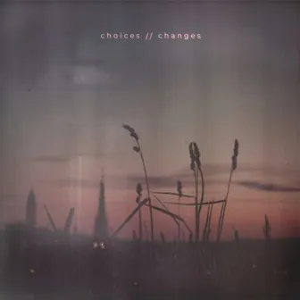 choices // changes by Kuranes