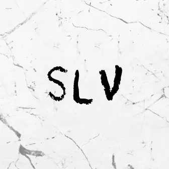 SLV by Wigo