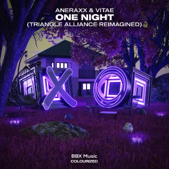 One Night (Triangle Alliance Reimagined) by Aneraxx