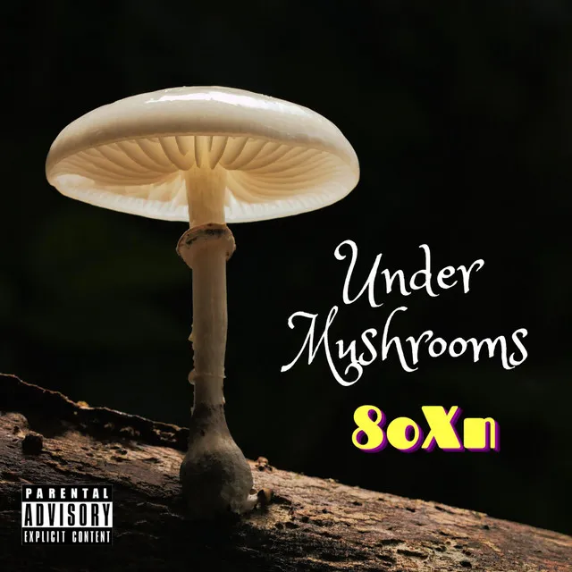 Under Mushrooms