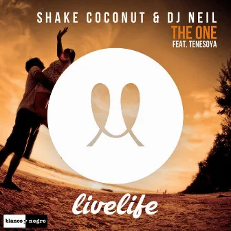 The One by Shake Coconut