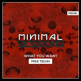 What You Want by Mike Techh