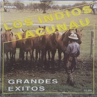 Grandes Exitos by Los Indios Tacunau