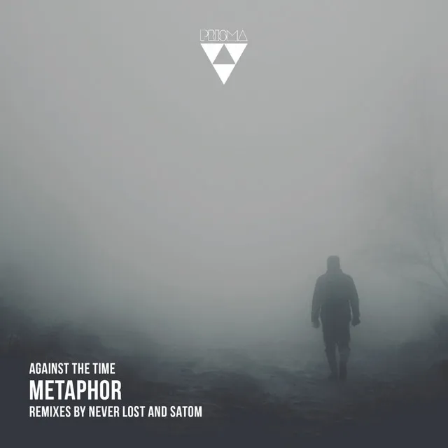 Metaphor - Never Lost Remix