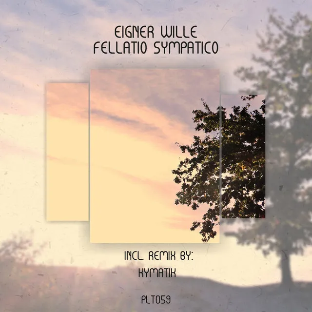 Fellatio Sympatico - Original Mix