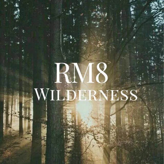 Wilderness