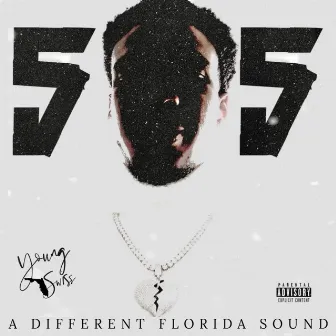 505 a Different Florida Sound by Young Swiss