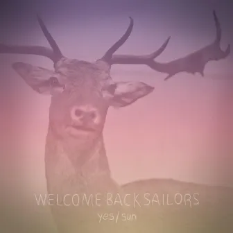 Yes / Sun by Welcome Back Sailors