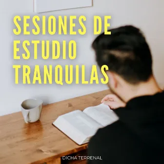 Sesiones De Estudio Tranquilas: Dicha Terrenal by 