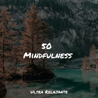 50 Mindfulness by Música Relajante para Perros