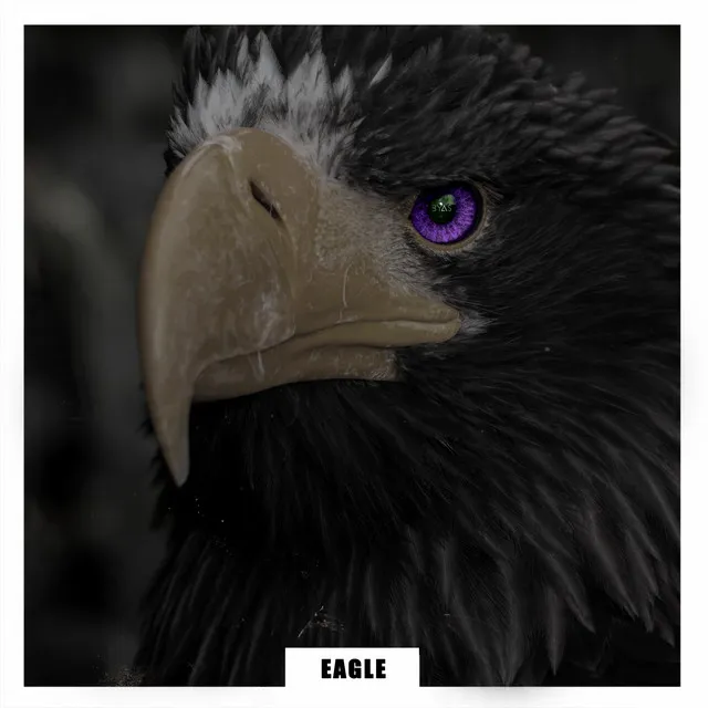 Eagle