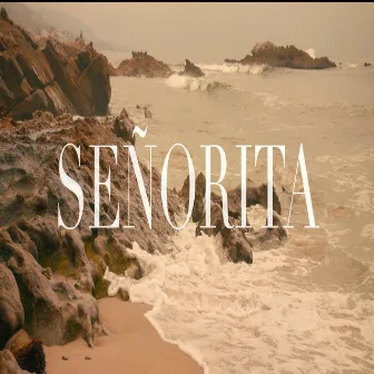 Señorita by Femi