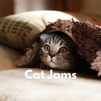 Cat Jams by Jazz Suave