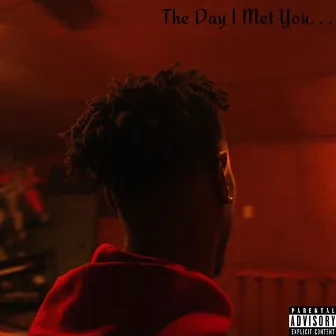 The Day I Met You by Jeh White